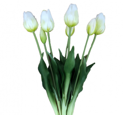 Tulipany Tulip Bunch White BBHome bukiet 7szt.