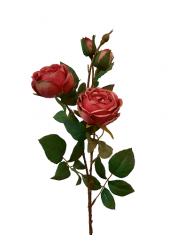 Gałązka D.Pink English Rose BBHome 62cm