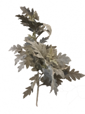 Gałązka dekoracyjna Velvet Frosted Leafs BBHome 77cm