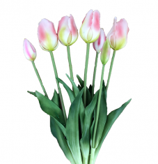 Tulipany Tulip Bunch Pink/White BBHome bukiet 7szt.