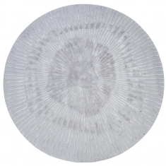 Rond vloerkleed Radius Grey almi decor bbhome