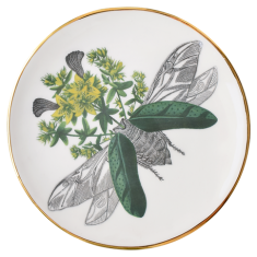 Porcelain plate with Majolika Nieborów beetle