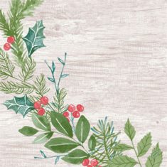 Serviettes Winter Greenery Duni 40x40cm 60 pcs.